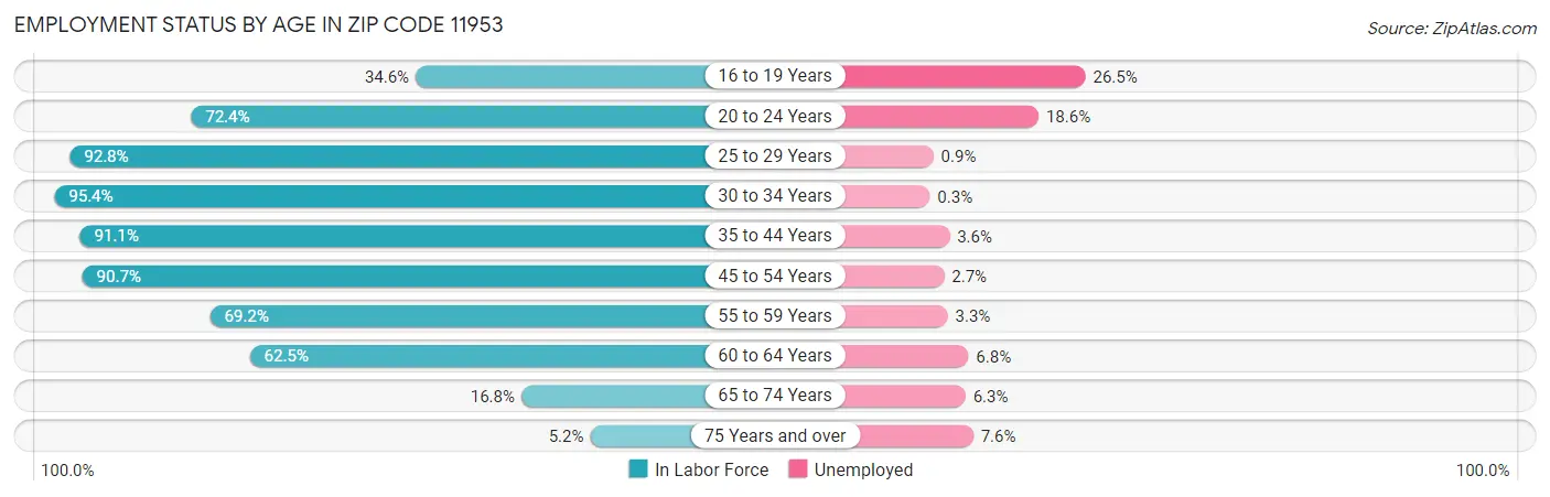 Employment Status by Age in Zip Code 11953