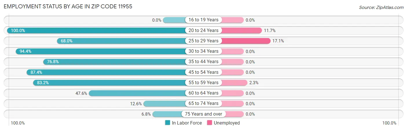 Employment Status by Age in Zip Code 11955