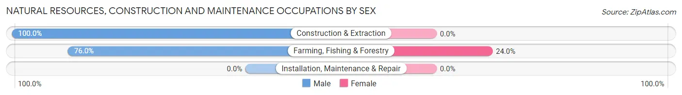 Natural Resources, Construction and Maintenance Occupations by Sex in Zip Code 11957