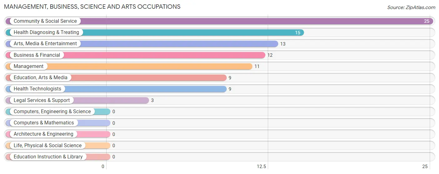 Management, Business, Science and Arts Occupations in Zip Code 11962