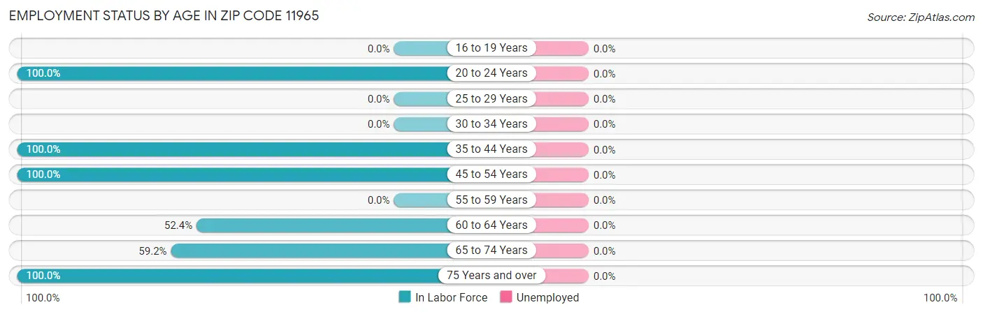 Employment Status by Age in Zip Code 11965
