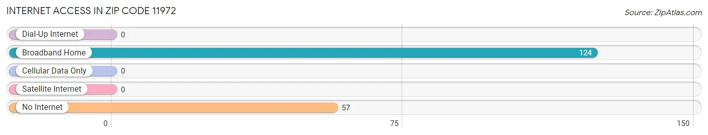 Internet Access in Zip Code 11972