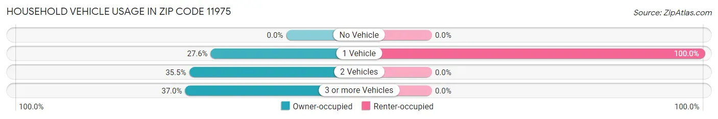 Household Vehicle Usage in Zip Code 11975