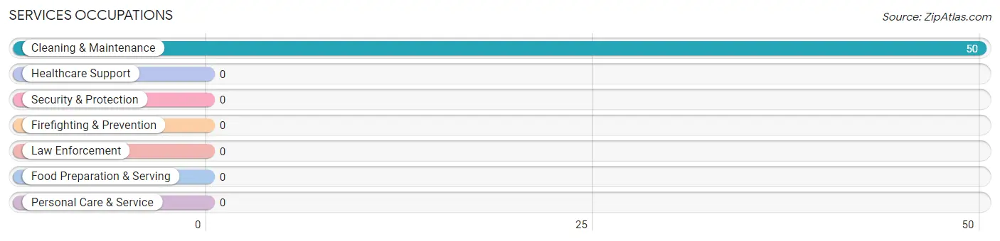 Services Occupations in Zip Code 11975