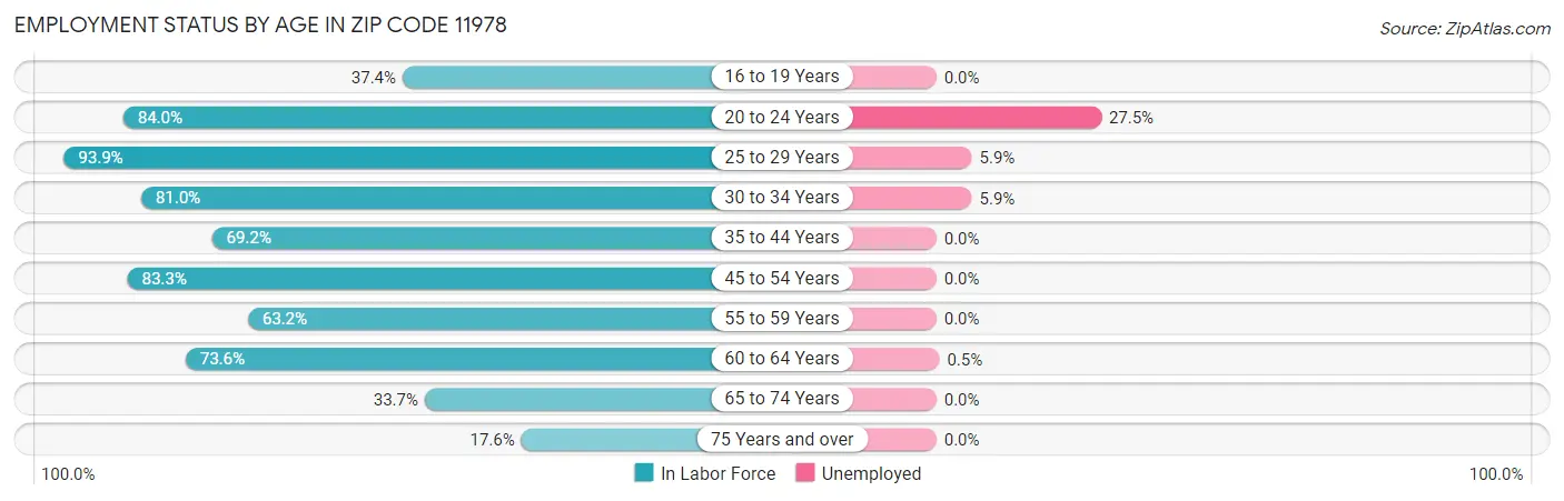 Employment Status by Age in Zip Code 11978