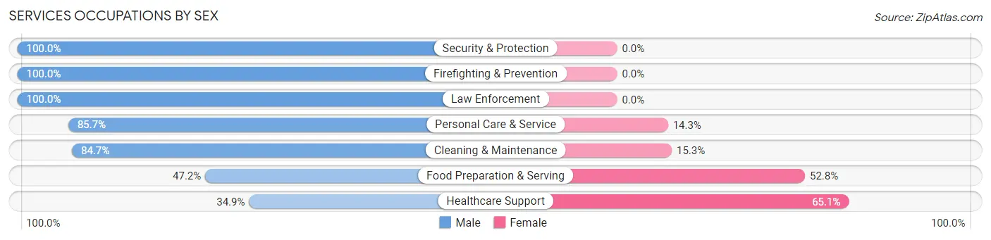 Services Occupations by Sex in Zip Code 11980