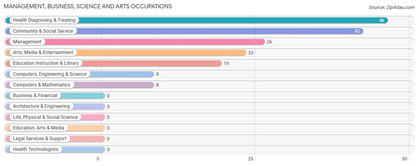 Management, Business, Science and Arts Occupations in Zip Code 12008