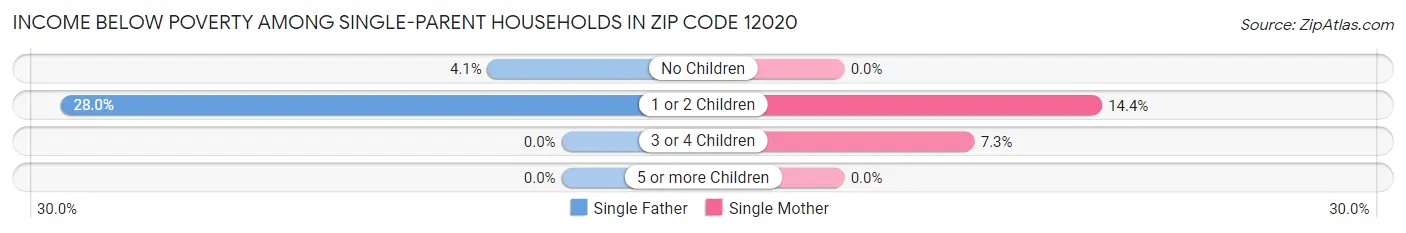 Income Below Poverty Among Single-Parent Households in Zip Code 12020