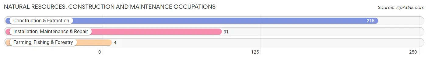 Natural Resources, Construction and Maintenance Occupations in Zip Code 12025