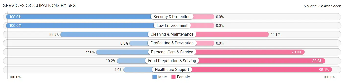Services Occupations by Sex in Zip Code 12025