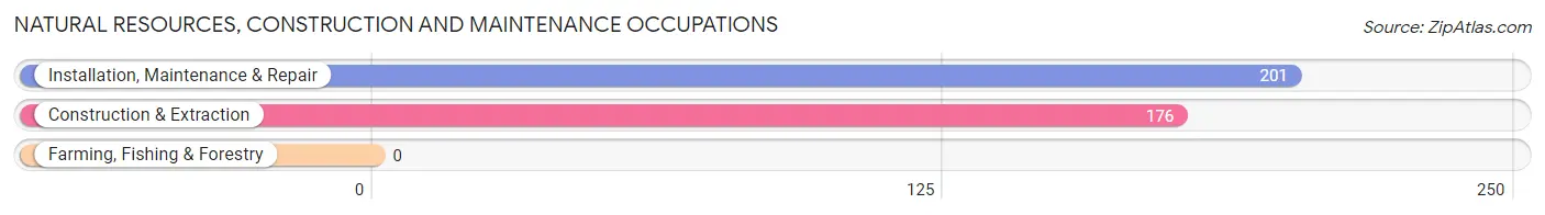 Natural Resources, Construction and Maintenance Occupations in Zip Code 12033