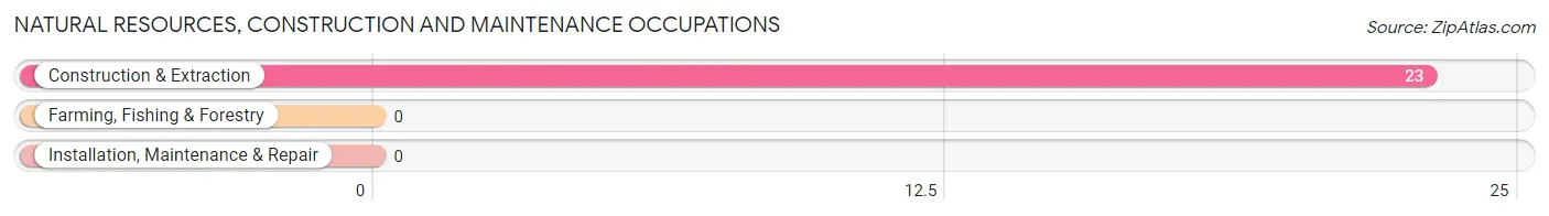 Natural Resources, Construction and Maintenance Occupations in Zip Code 12035