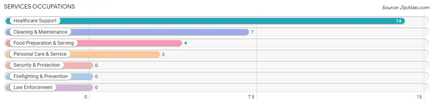 Services Occupations in Zip Code 12035