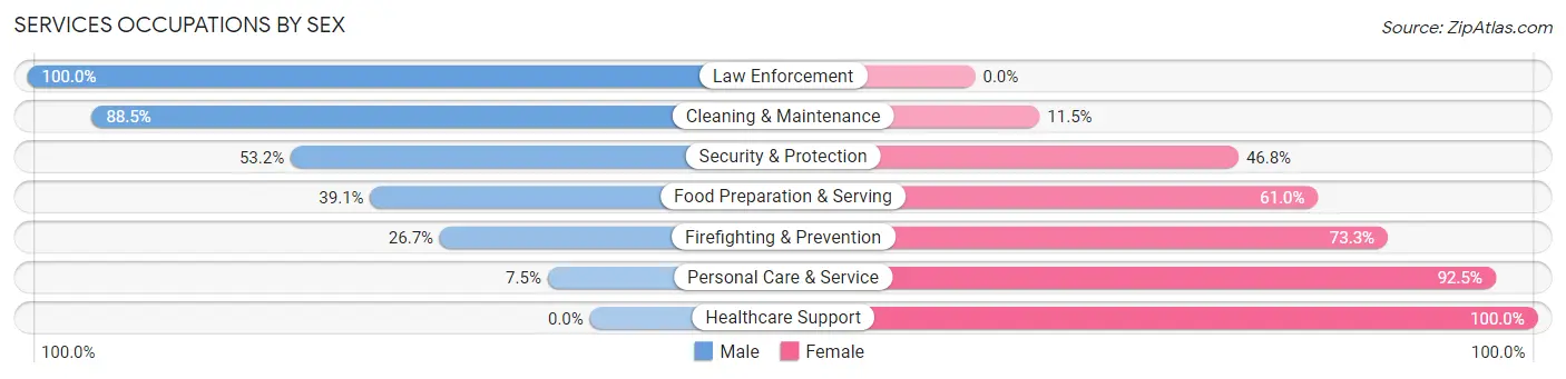 Services Occupations by Sex in Zip Code 12043