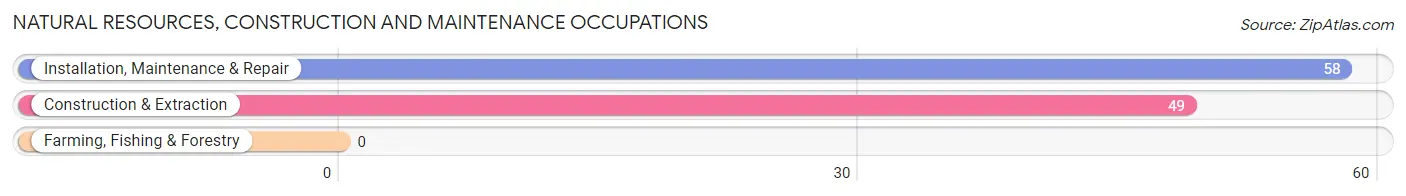 Natural Resources, Construction and Maintenance Occupations in Zip Code 12052