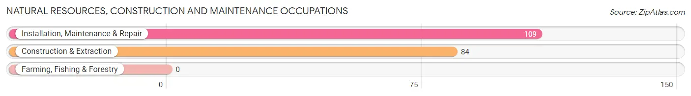 Natural Resources, Construction and Maintenance Occupations in Zip Code 12053