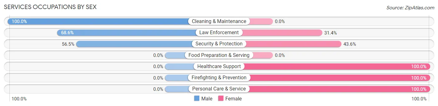 Services Occupations by Sex in Zip Code 12058