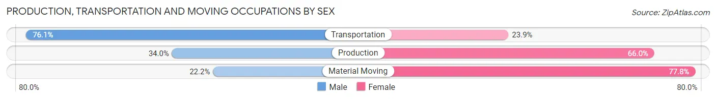 Production, Transportation and Moving Occupations by Sex in Zip Code 12059
