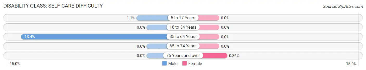 Disability in Zip Code 12070: <span>Self-Care Difficulty</span>