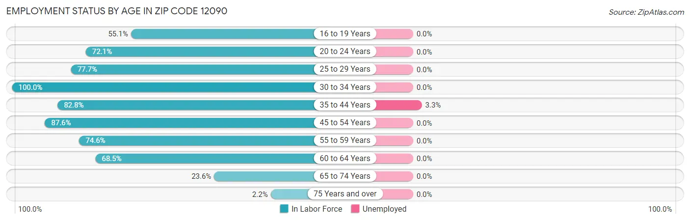 Employment Status by Age in Zip Code 12090