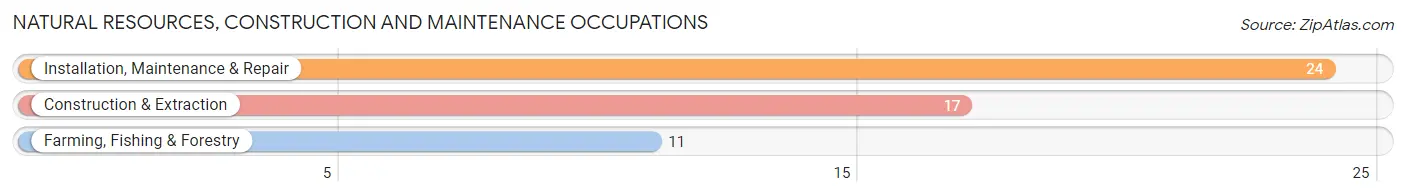 Natural Resources, Construction and Maintenance Occupations in Zip Code 12106