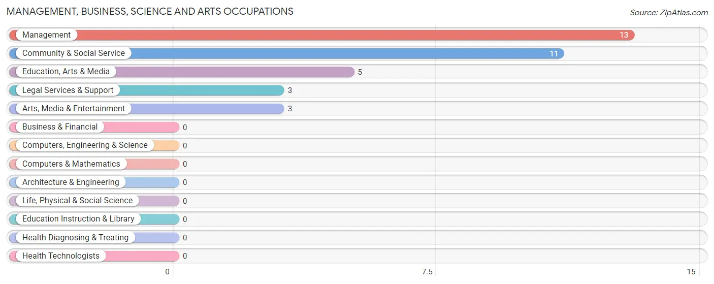 Management, Business, Science and Arts Occupations in Zip Code 12108