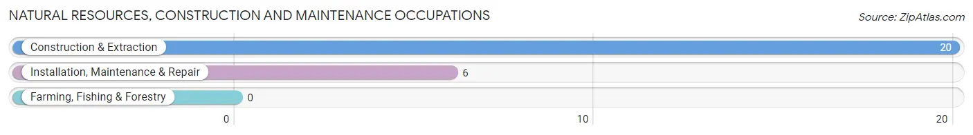 Natural Resources, Construction and Maintenance Occupations in Zip Code 12108