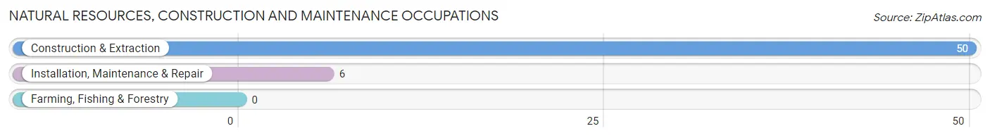 Natural Resources, Construction and Maintenance Occupations in Zip Code 12116