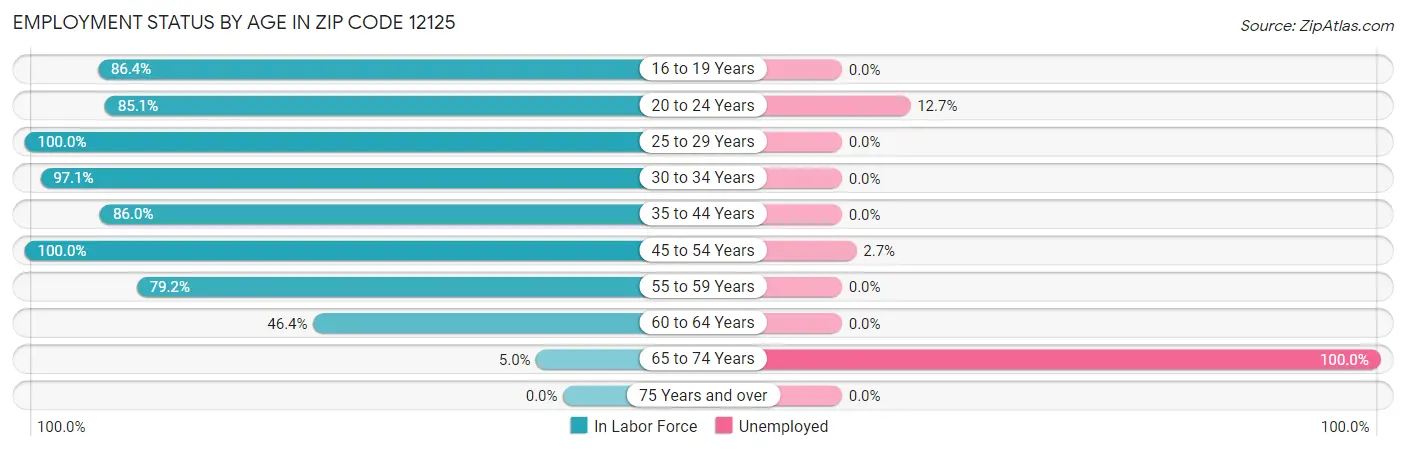 Employment Status by Age in Zip Code 12125