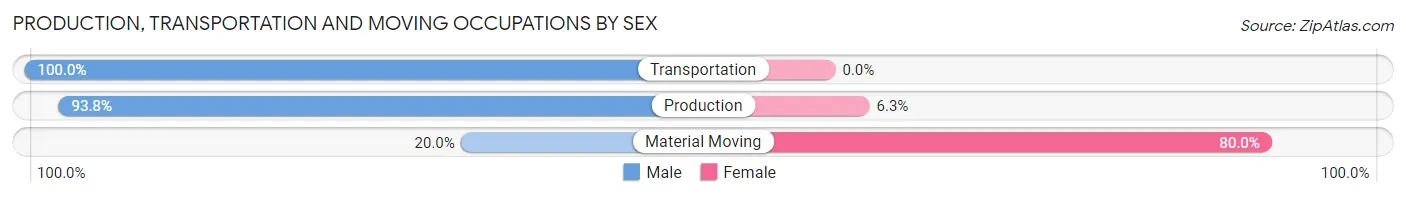 Production, Transportation and Moving Occupations by Sex in Zip Code 12125