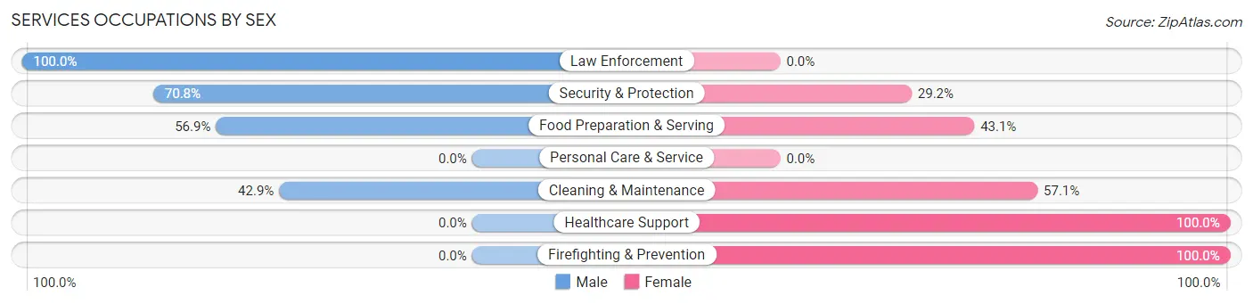 Services Occupations by Sex in Zip Code 12125