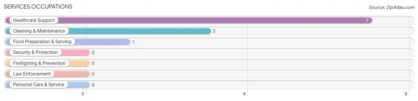 Services Occupations in Zip Code 12131