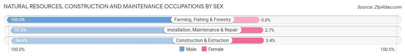 Natural Resources, Construction and Maintenance Occupations by Sex in Zip Code 12134