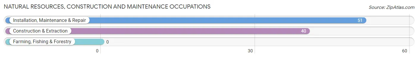 Natural Resources, Construction and Maintenance Occupations in Zip Code 12137