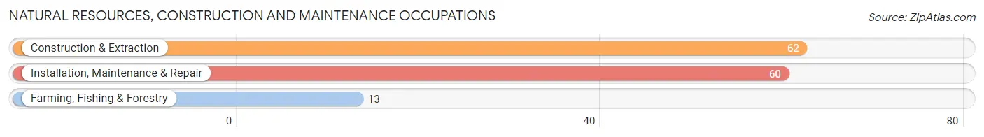 Natural Resources, Construction and Maintenance Occupations in Zip Code 12148