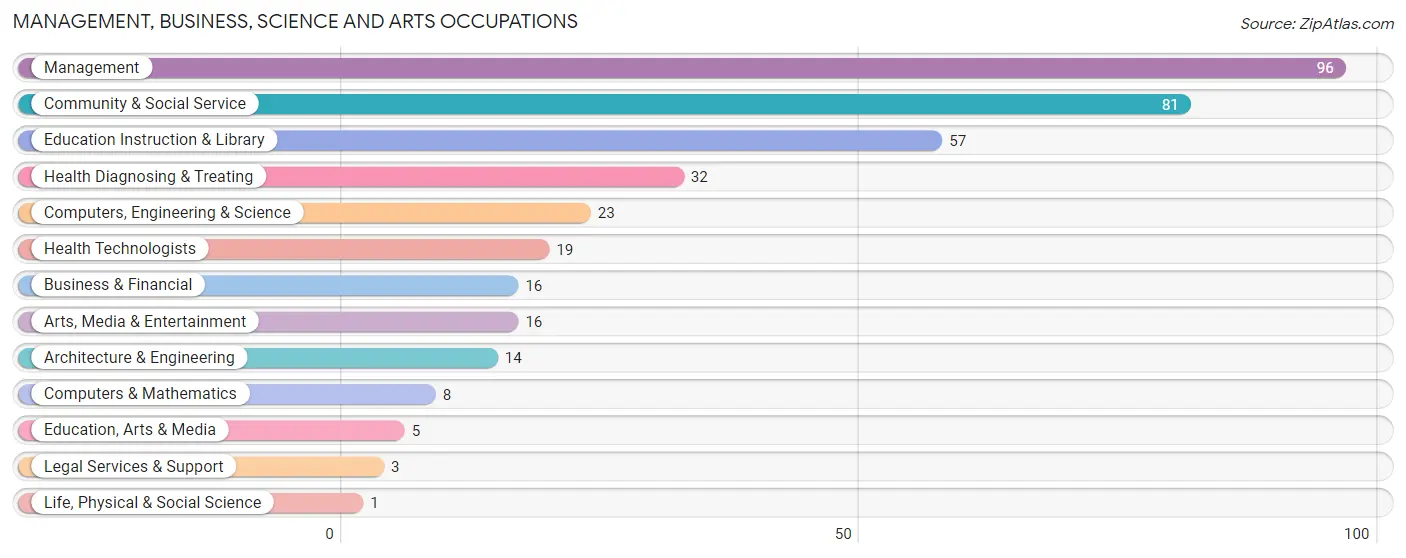 Management, Business, Science and Arts Occupations in Zip Code 12167