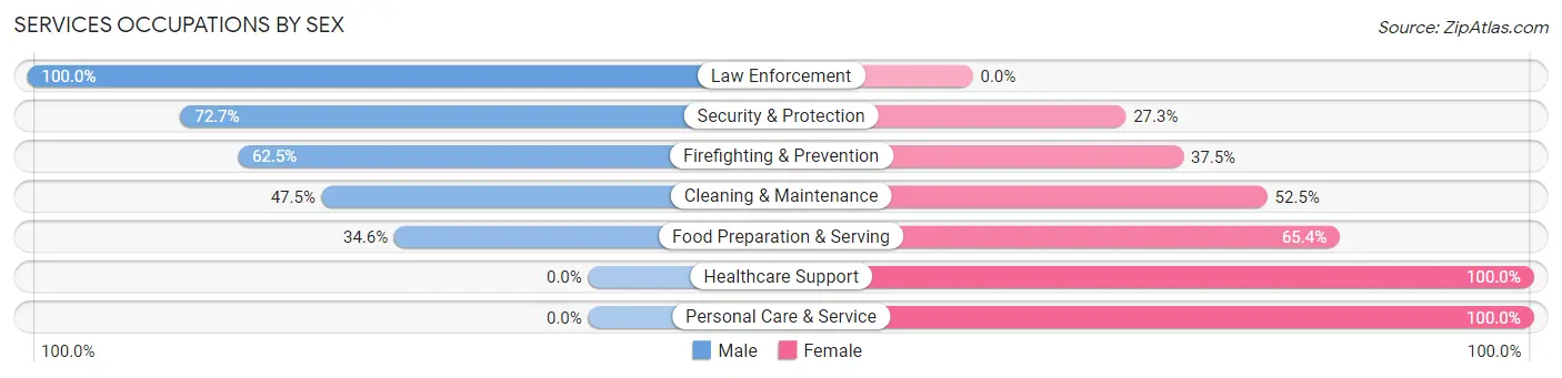 Services Occupations by Sex in Zip Code 12167