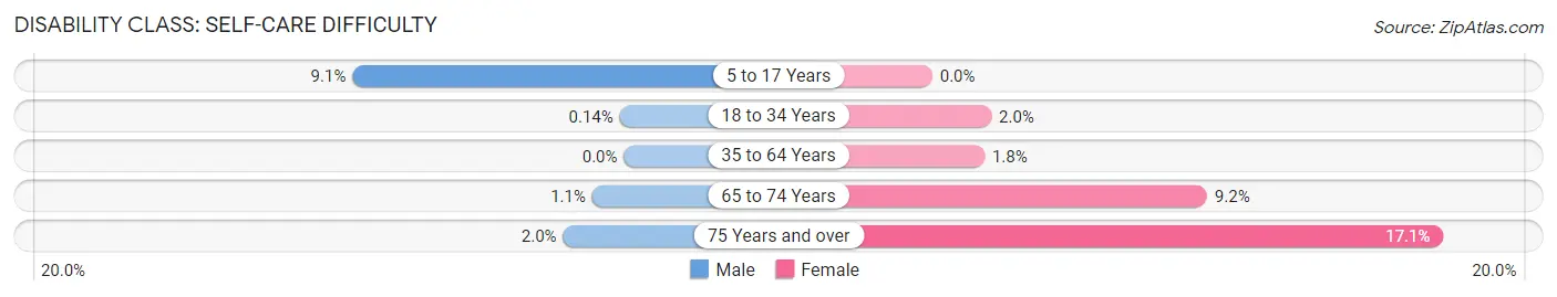 Disability in Zip Code 12182: <span>Self-Care Difficulty</span>