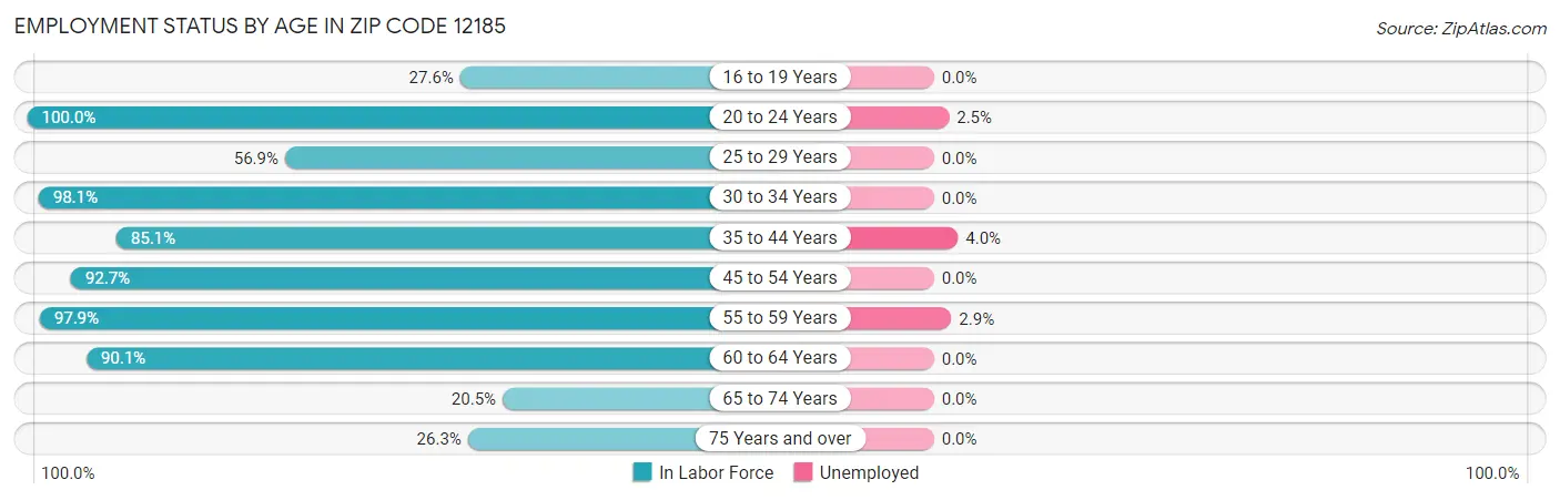 Employment Status by Age in Zip Code 12185
