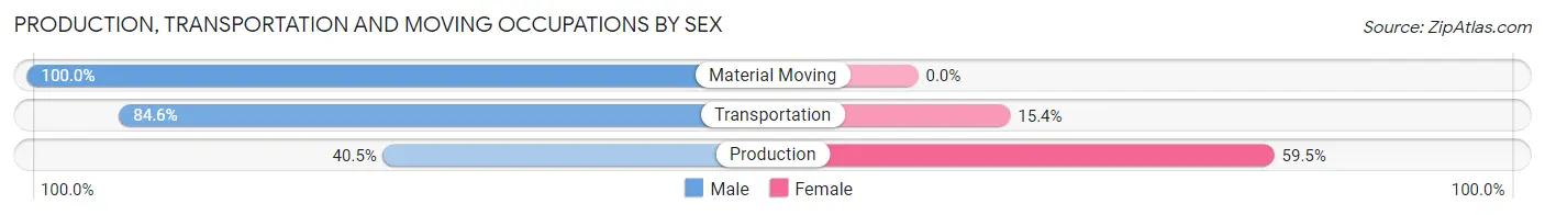 Production, Transportation and Moving Occupations by Sex in Zip Code 12185