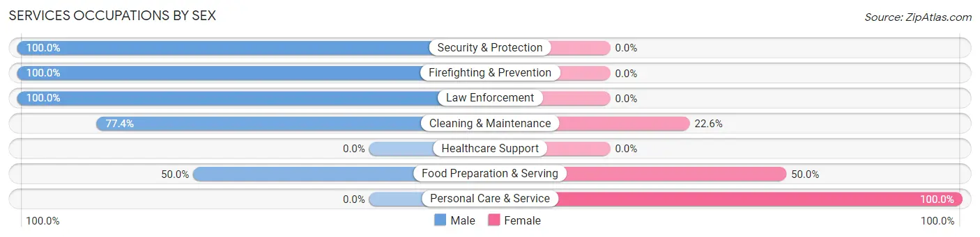 Services Occupations by Sex in Zip Code 12185