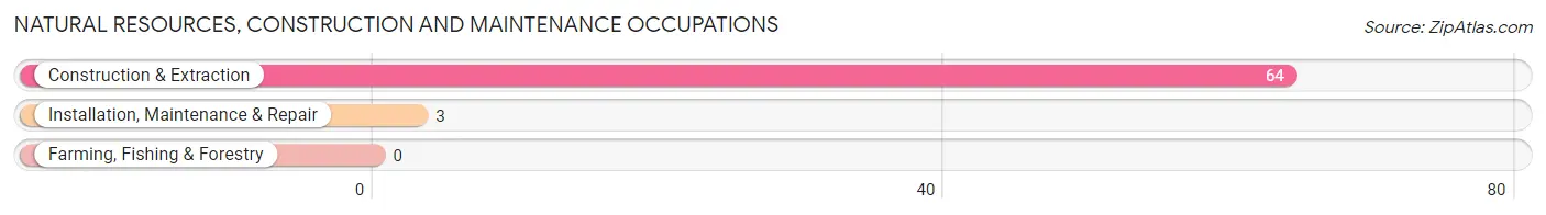 Natural Resources, Construction and Maintenance Occupations in Zip Code 12187