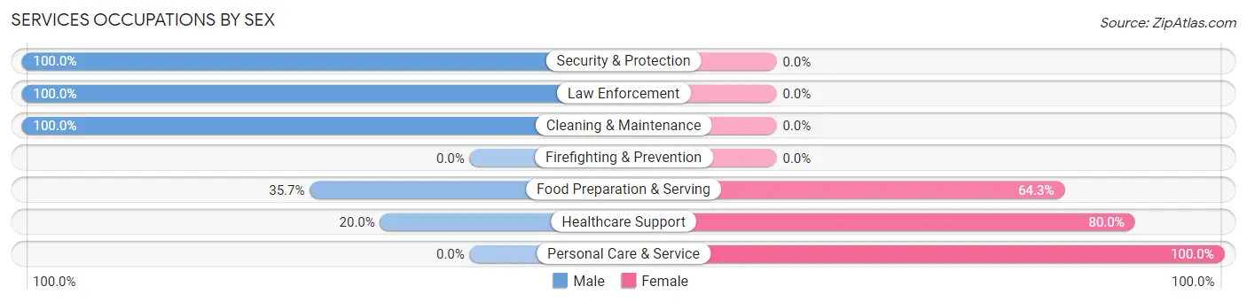 Services Occupations by Sex in Zip Code 12196