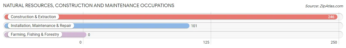 Natural Resources, Construction and Maintenance Occupations in Zip Code 12203