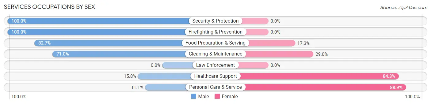 Services Occupations by Sex in Zip Code 12206