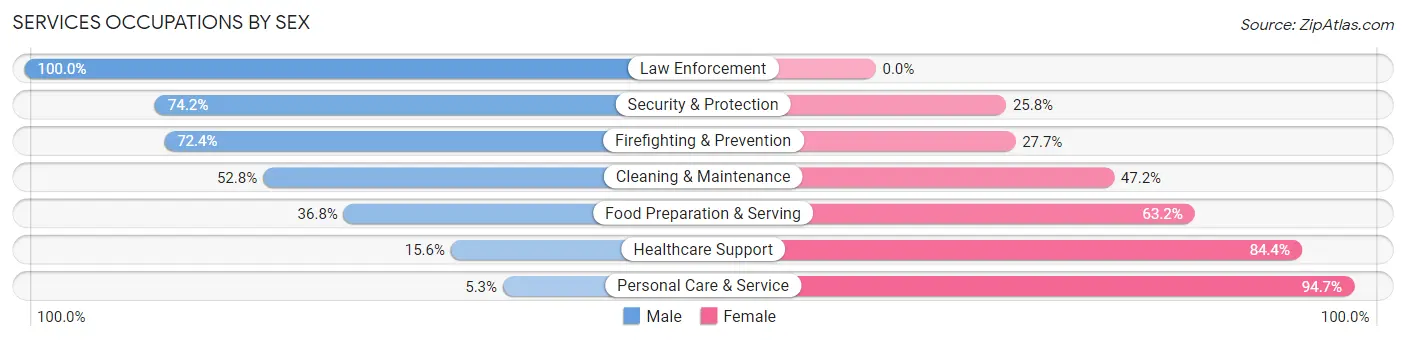 Services Occupations by Sex in Zip Code 12208