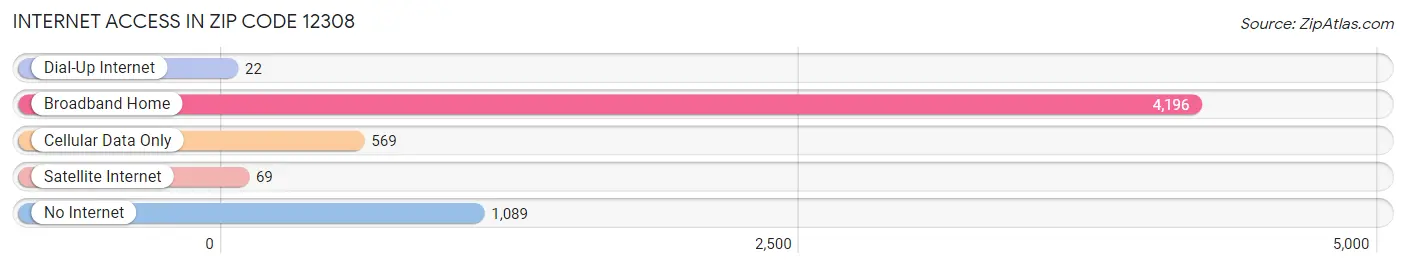 Internet Access in Zip Code 12308