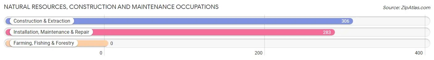 Natural Resources, Construction and Maintenance Occupations in Zip Code 12309