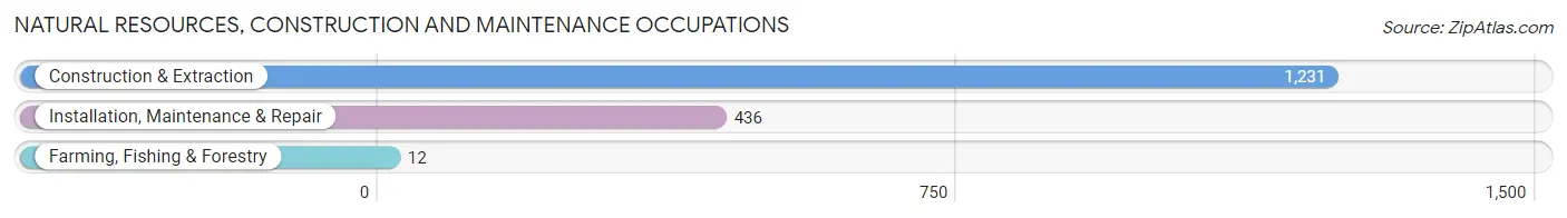 Natural Resources, Construction and Maintenance Occupations in Zip Code 12401