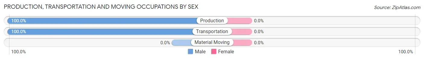 Production, Transportation and Moving Occupations by Sex in Zip Code 12405